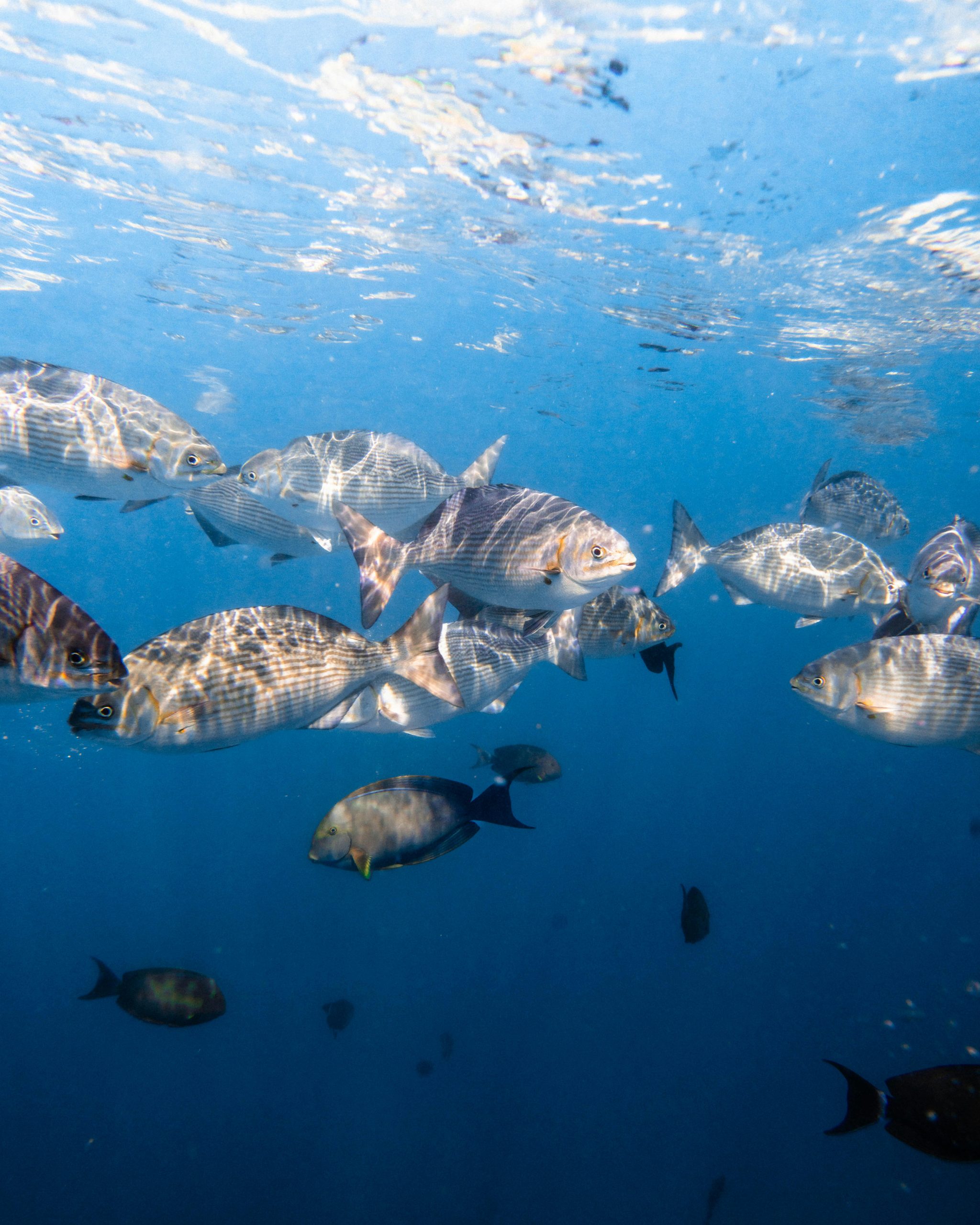 pexels alohaphotostudio 28751498