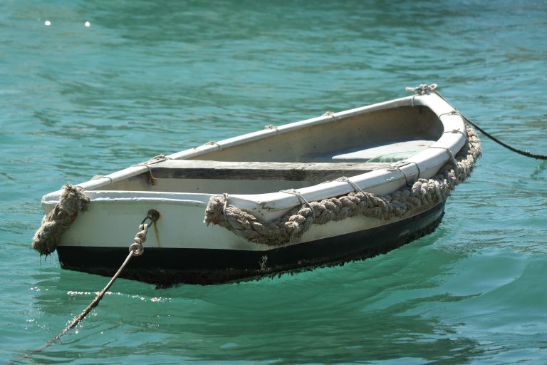 tiluria fish boat 2638196 (1)